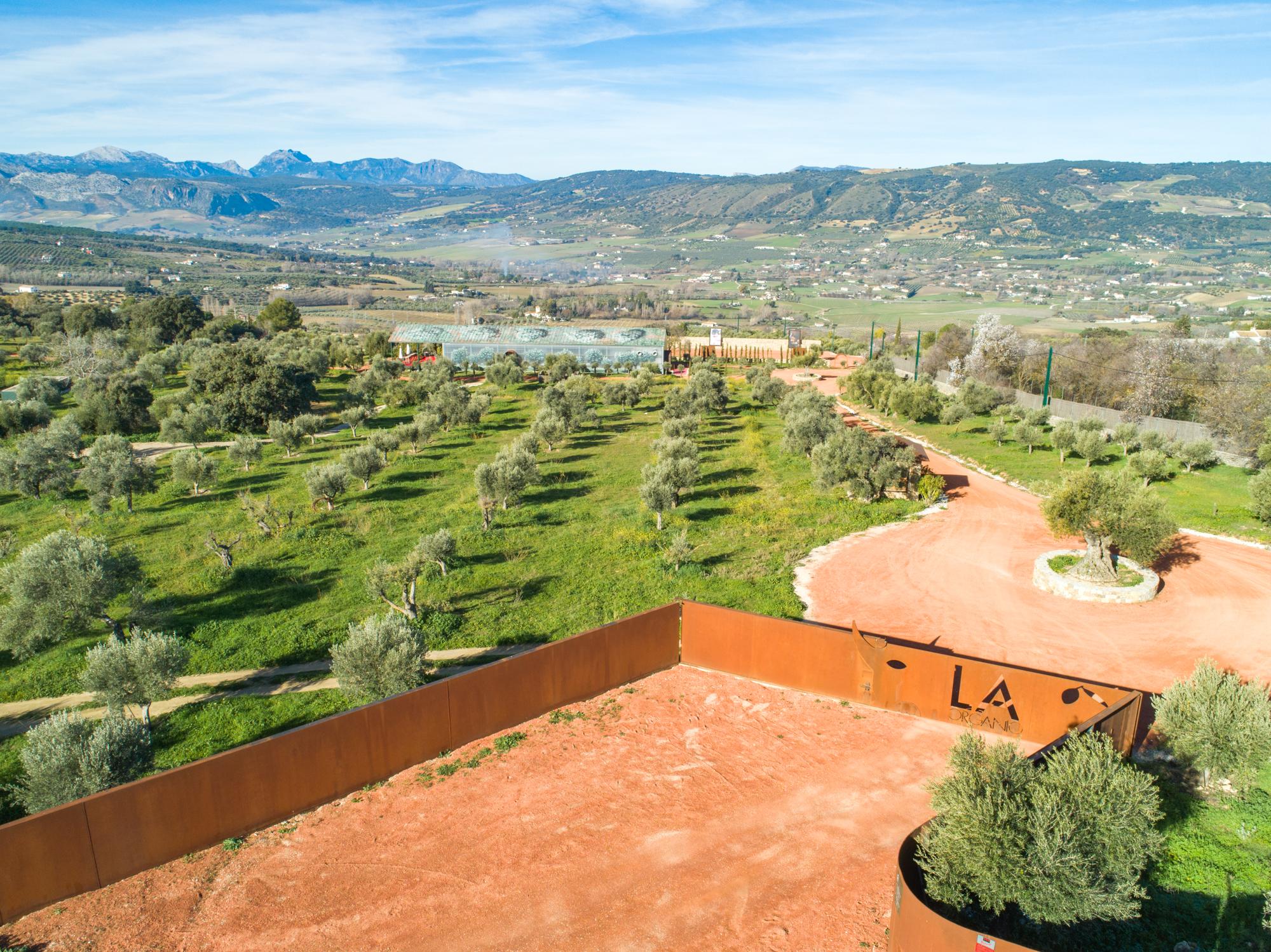 Cortijo La Organic Hotel Ronda Exterior foto