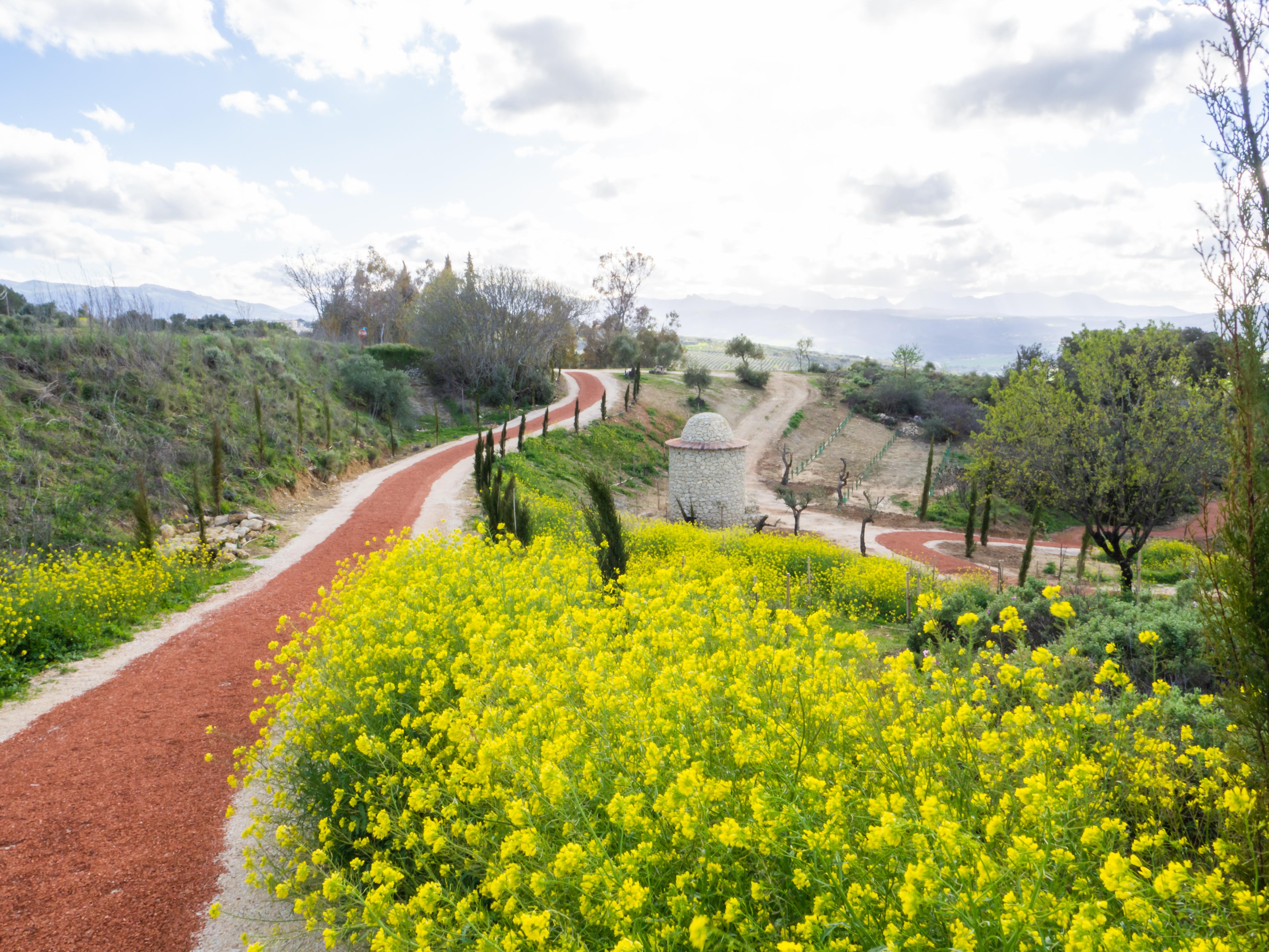 Cortijo La Organic Hotel Ronda Exterior foto