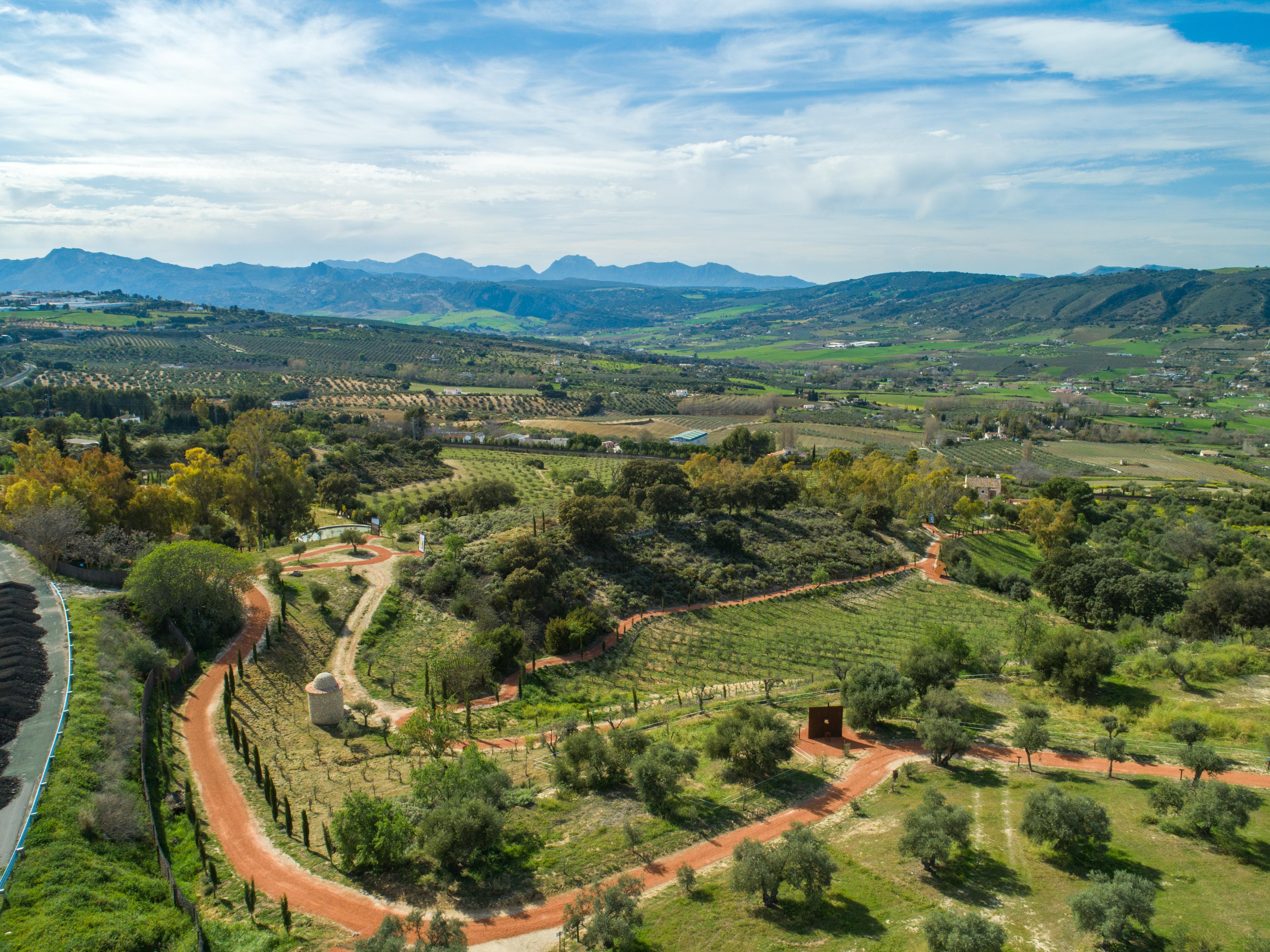 Cortijo La Organic Hotel Ronda Exterior foto