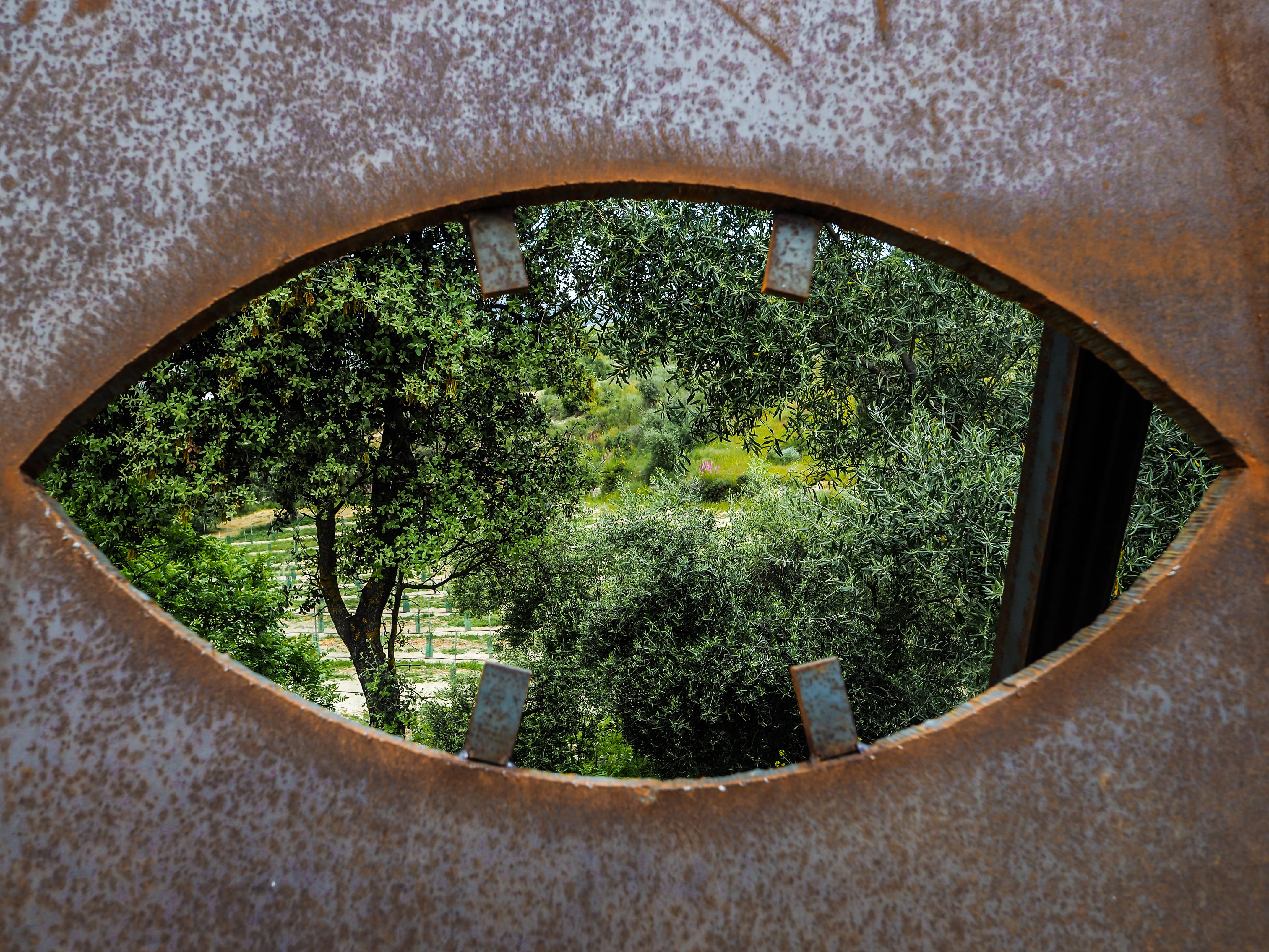 Cortijo La Organic Hotel Ronda Exterior foto