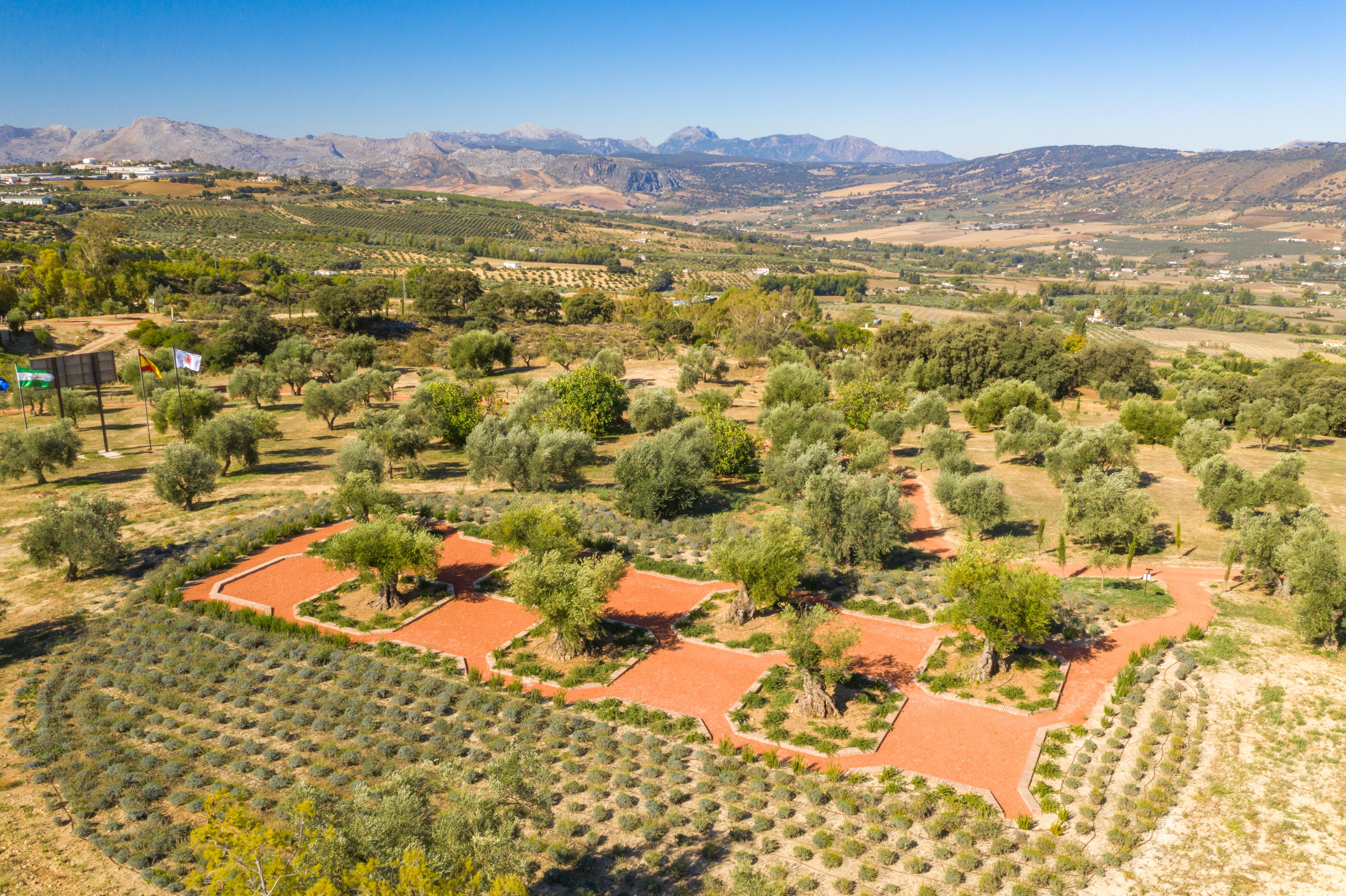 Cortijo La Organic Hotel Ronda Exterior foto